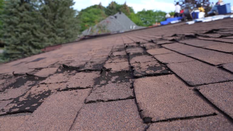 Best Roof Moss and Algae Removal  in USA